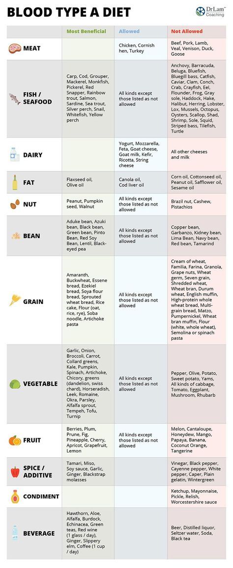 Science Diet Kitten Food 2