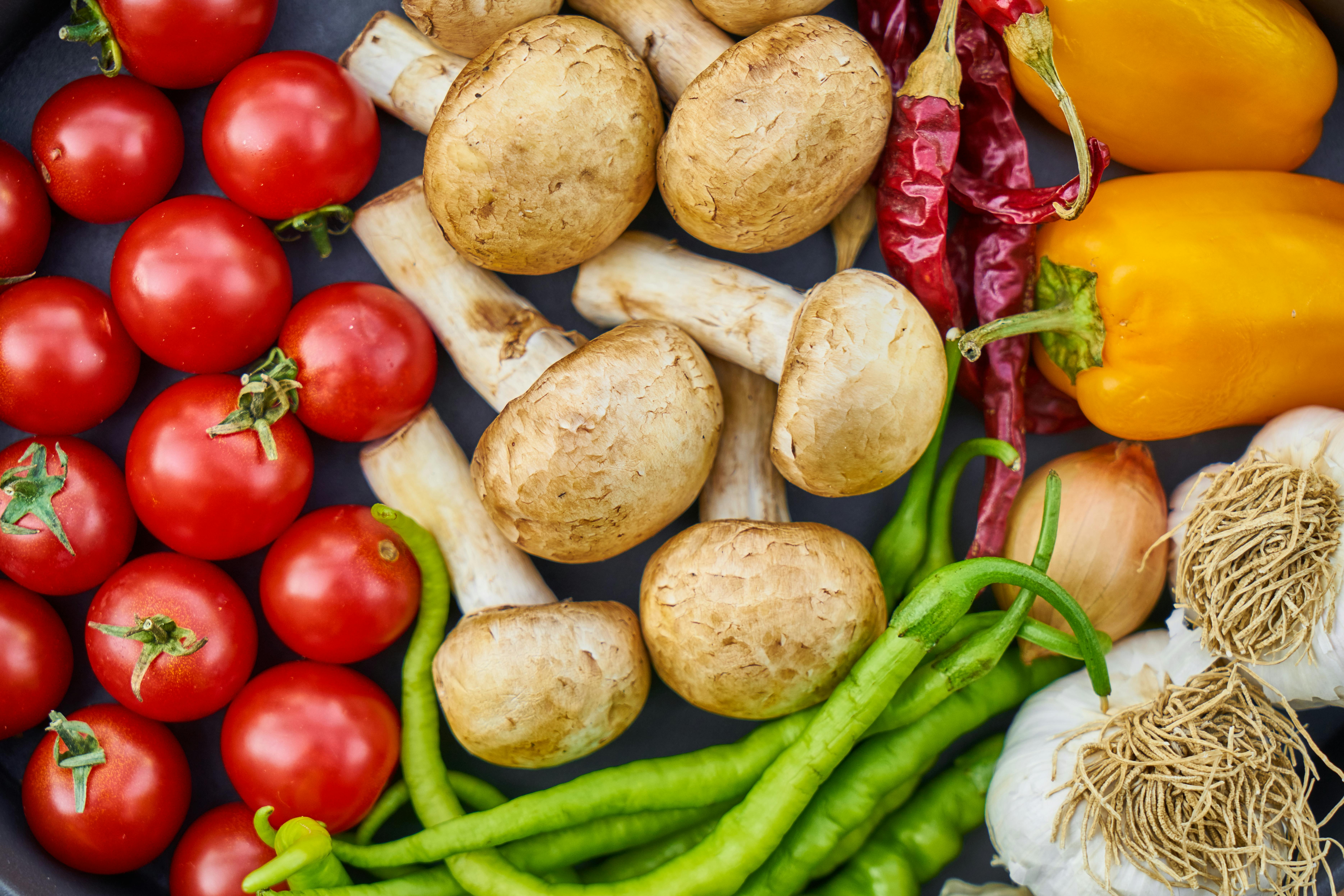 Smart Ways to Start a Carnivore Diet for Beginners in 2025!