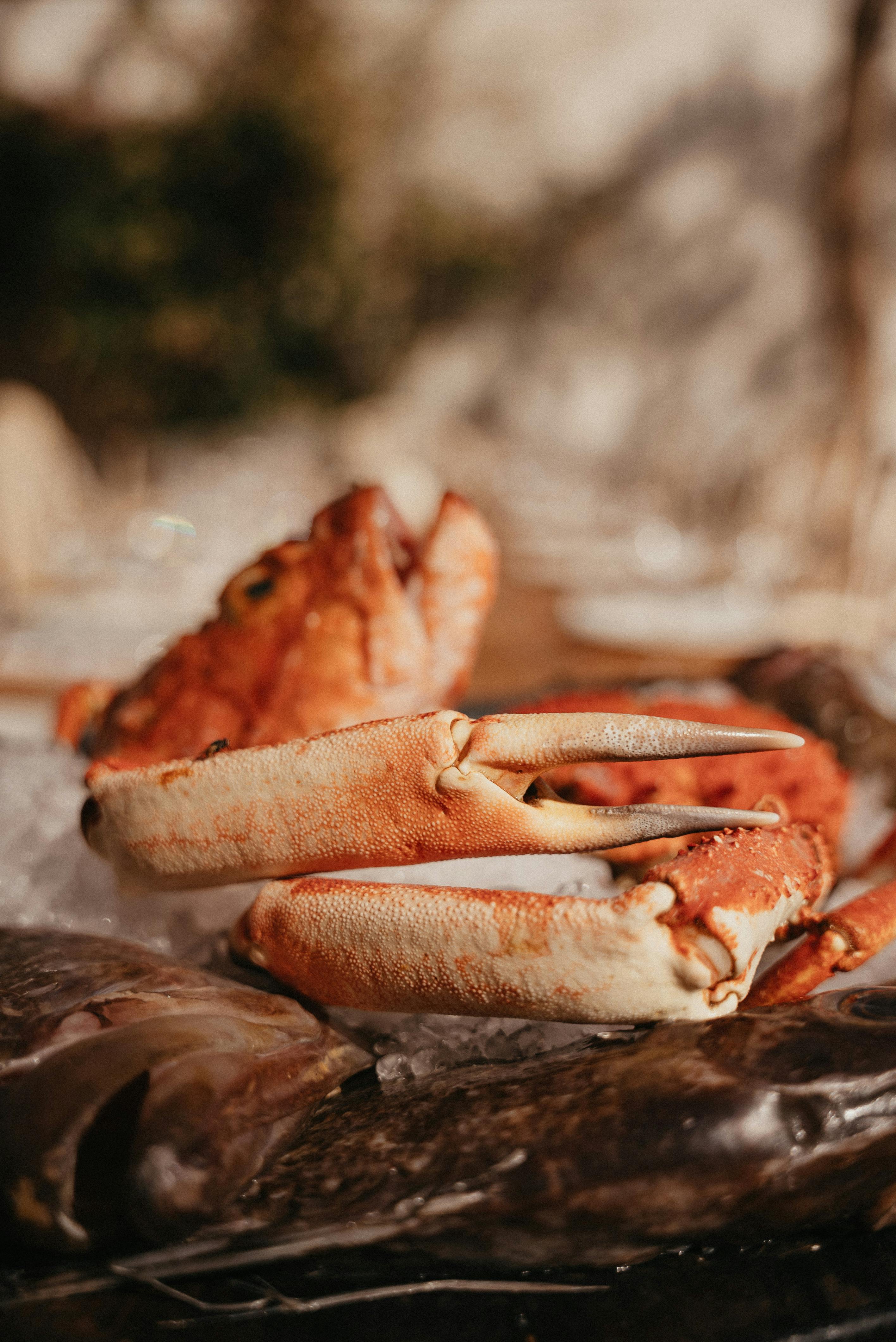 Smart Ways to Improve Your Cystic Fibrosis Diet in 2025