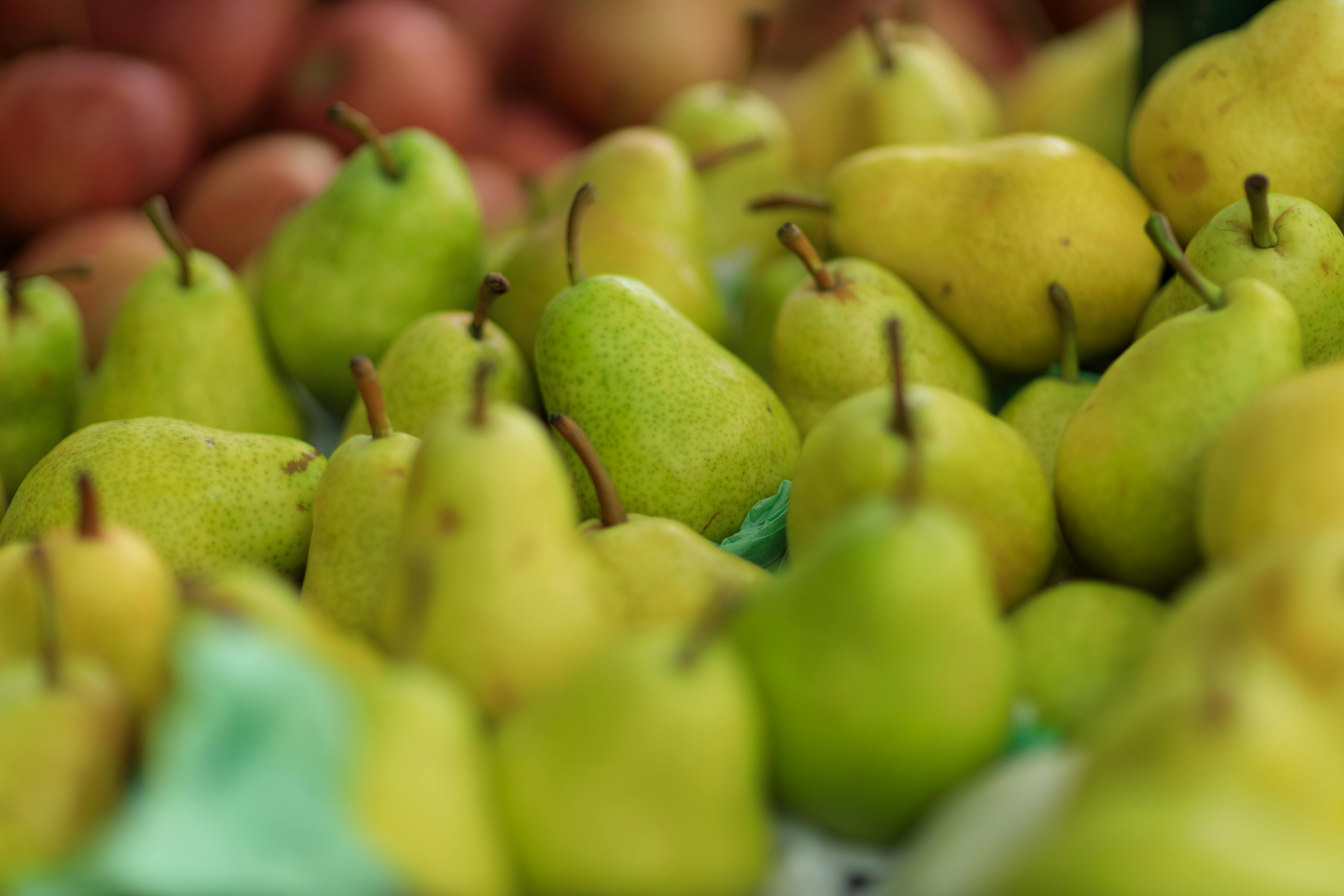 Healthy possum food choices