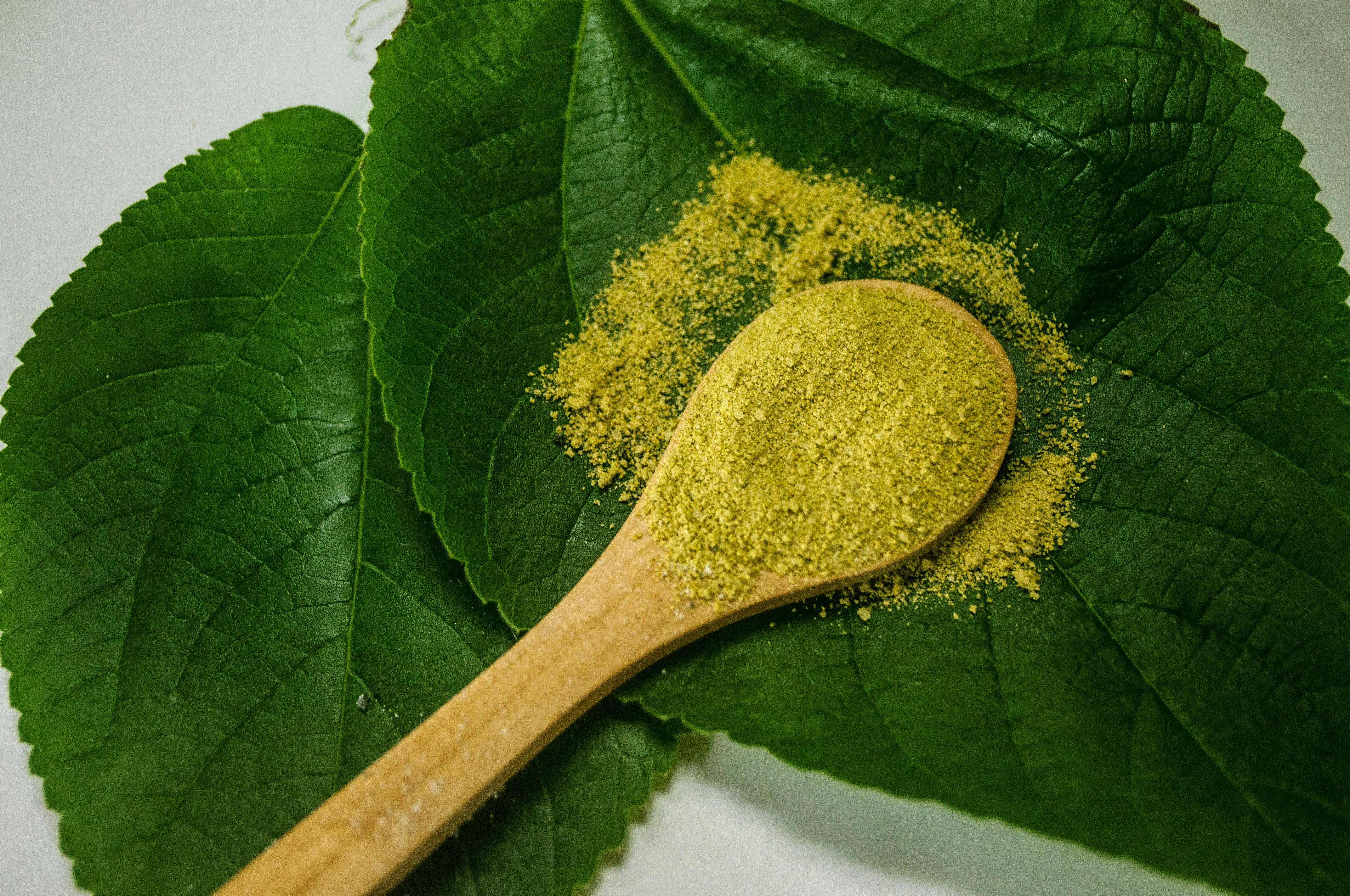 Smart Ways to Use Diet Green Tea for Maximum Wellness in 2025
