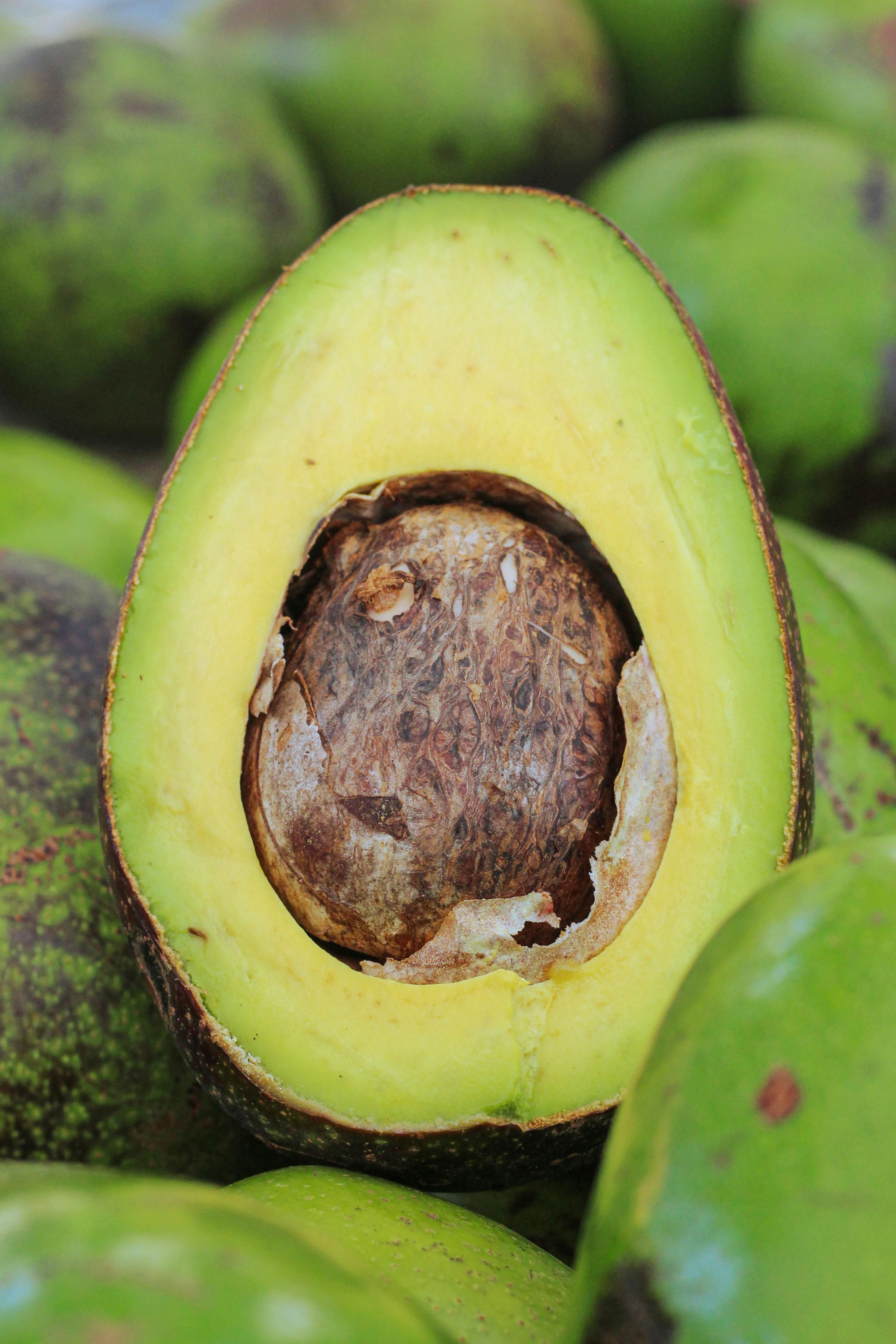 A nutritionally balanced diet provides the right proportions of macronutrients (carbohydrates, proteins, and fats), essential vitamins, and minerals necessary for overall health. It includes a variety of foods from all food groups—fruits, vegetables, whole grains, lean proteins, and healthy fats—ensuring that the body receives the nutrients it needs to function effectively and maintain optimal health.
