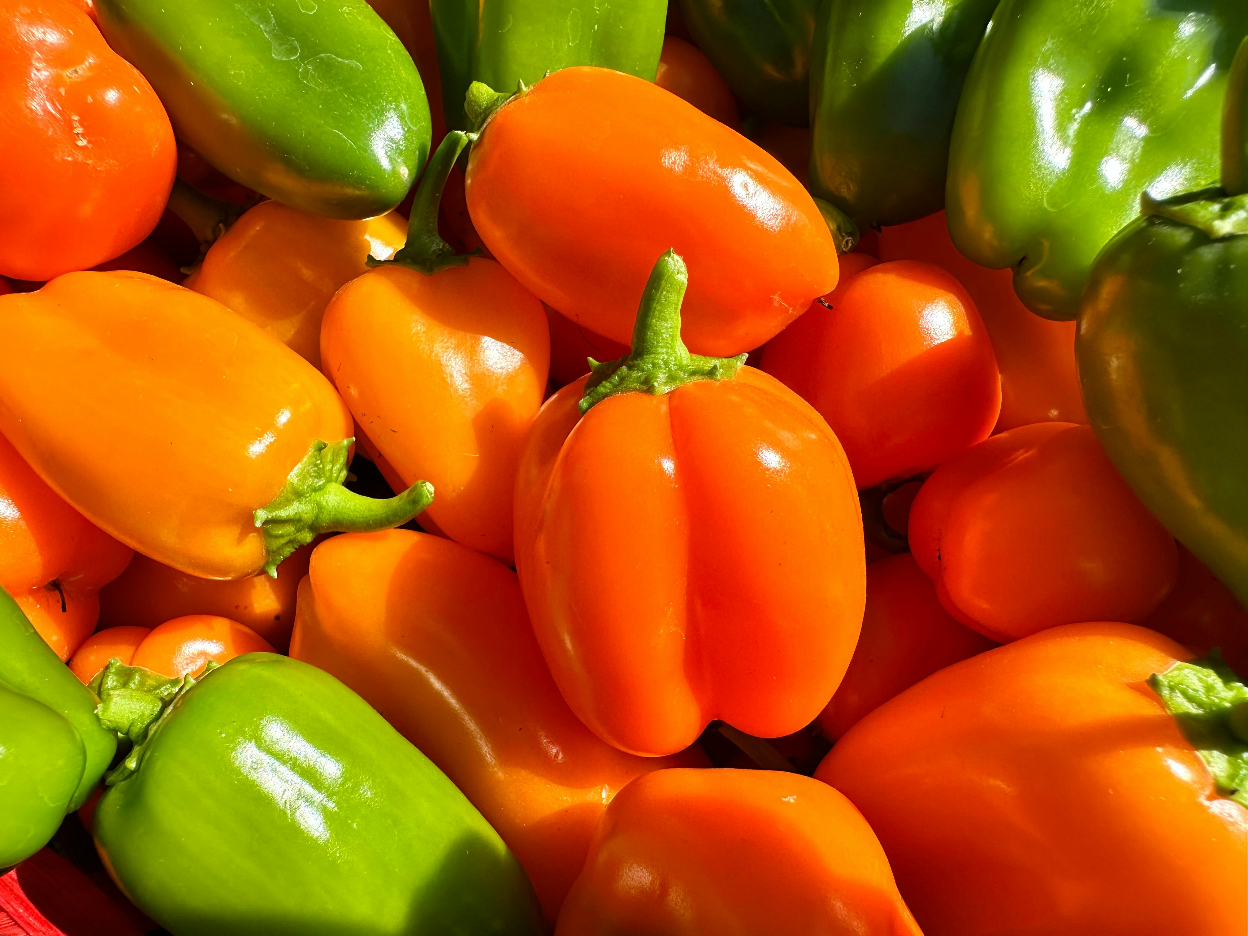 Best 7 Fast Metabolism Diet Tips to Boost Your Energy in 2025