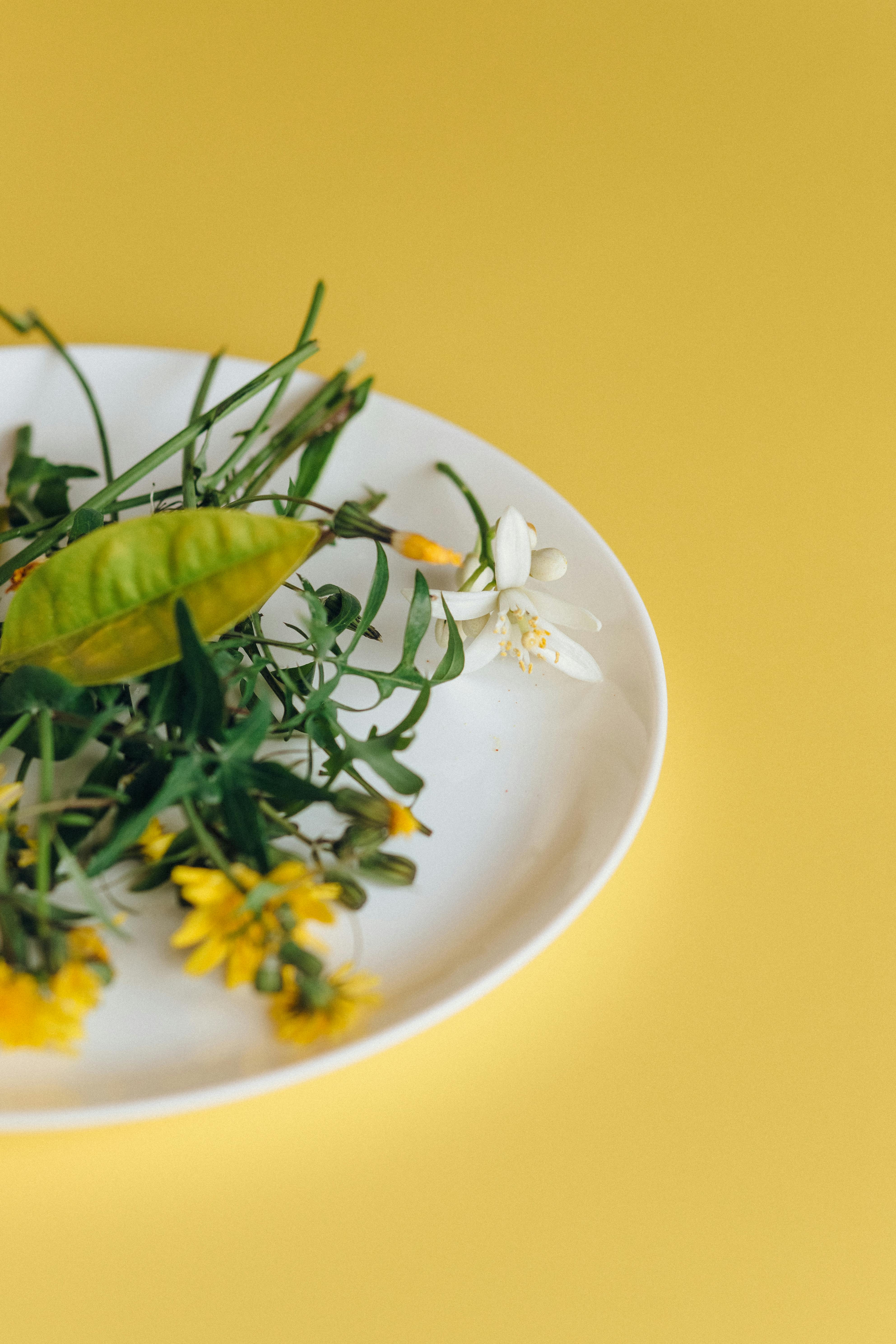 Effective Ways to Enjoy Blue Zone Diet Recipes in 2025