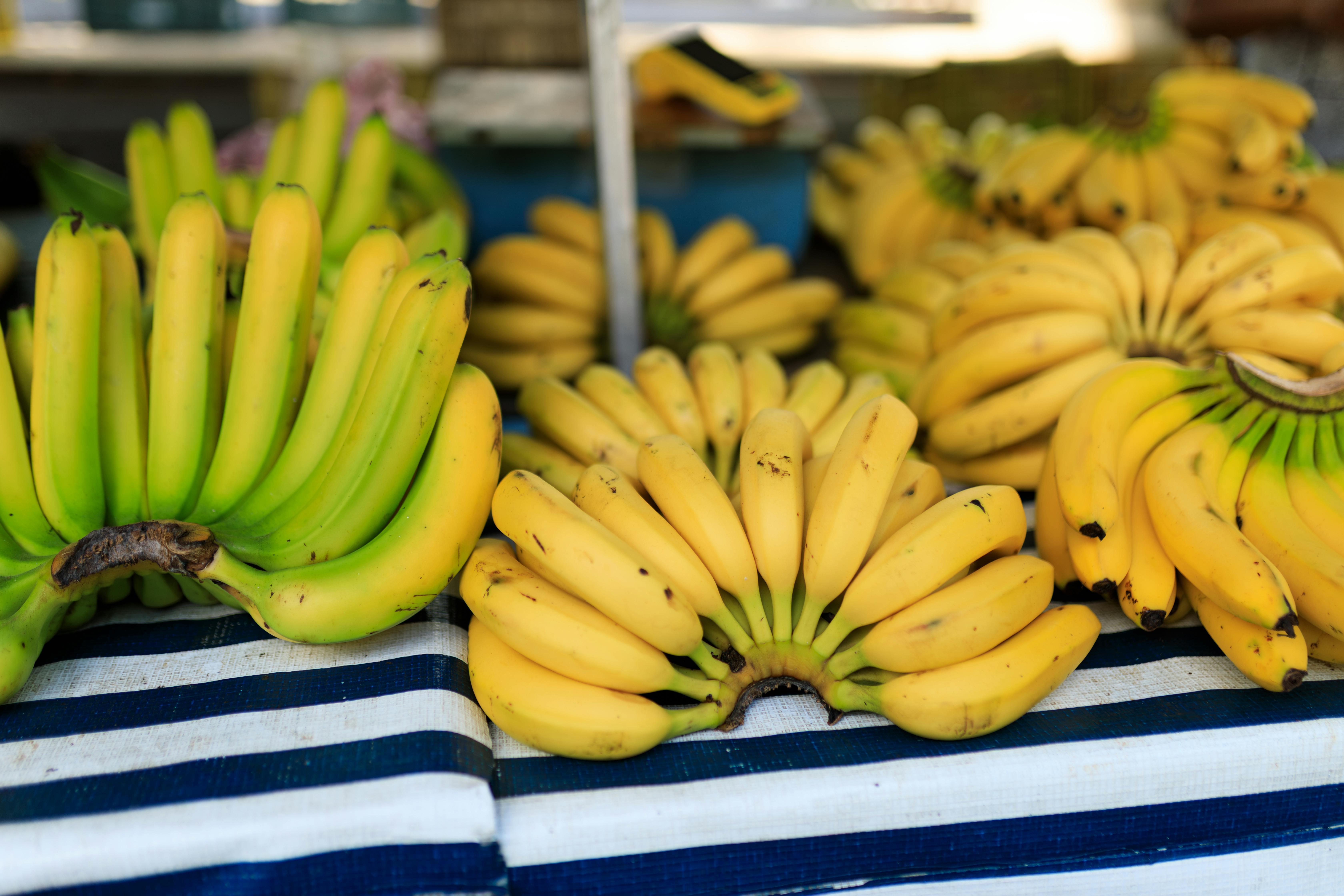 Effective Ways to Improve Hill's Science Diet for Sensitive Stomach & Skin