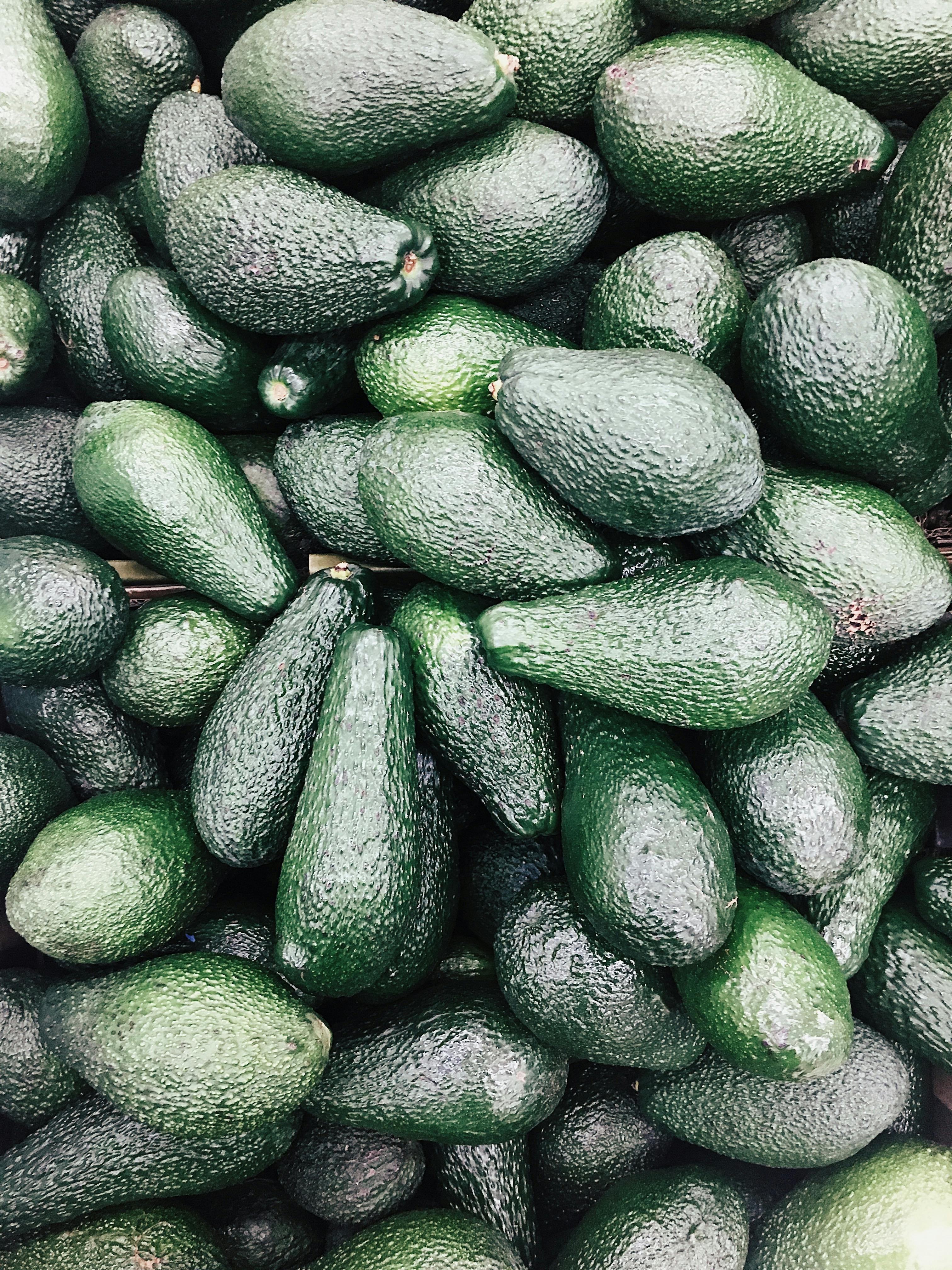 Discover 7 Effective Carnivore Diet Snack Ideas for 2025