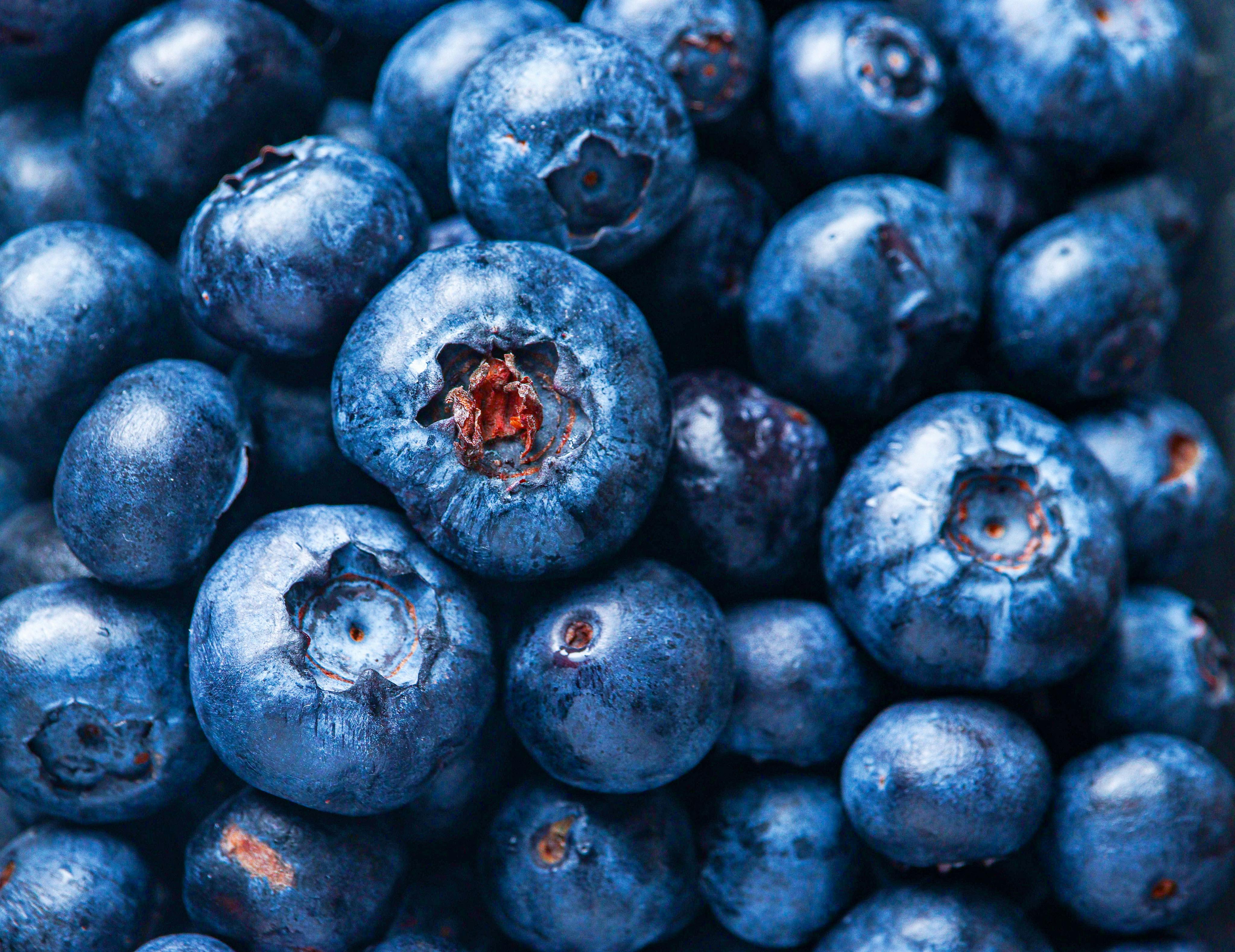 Smart Ways to Enhance Your Fast Metabolism Diet in 2025: Get Started Now!