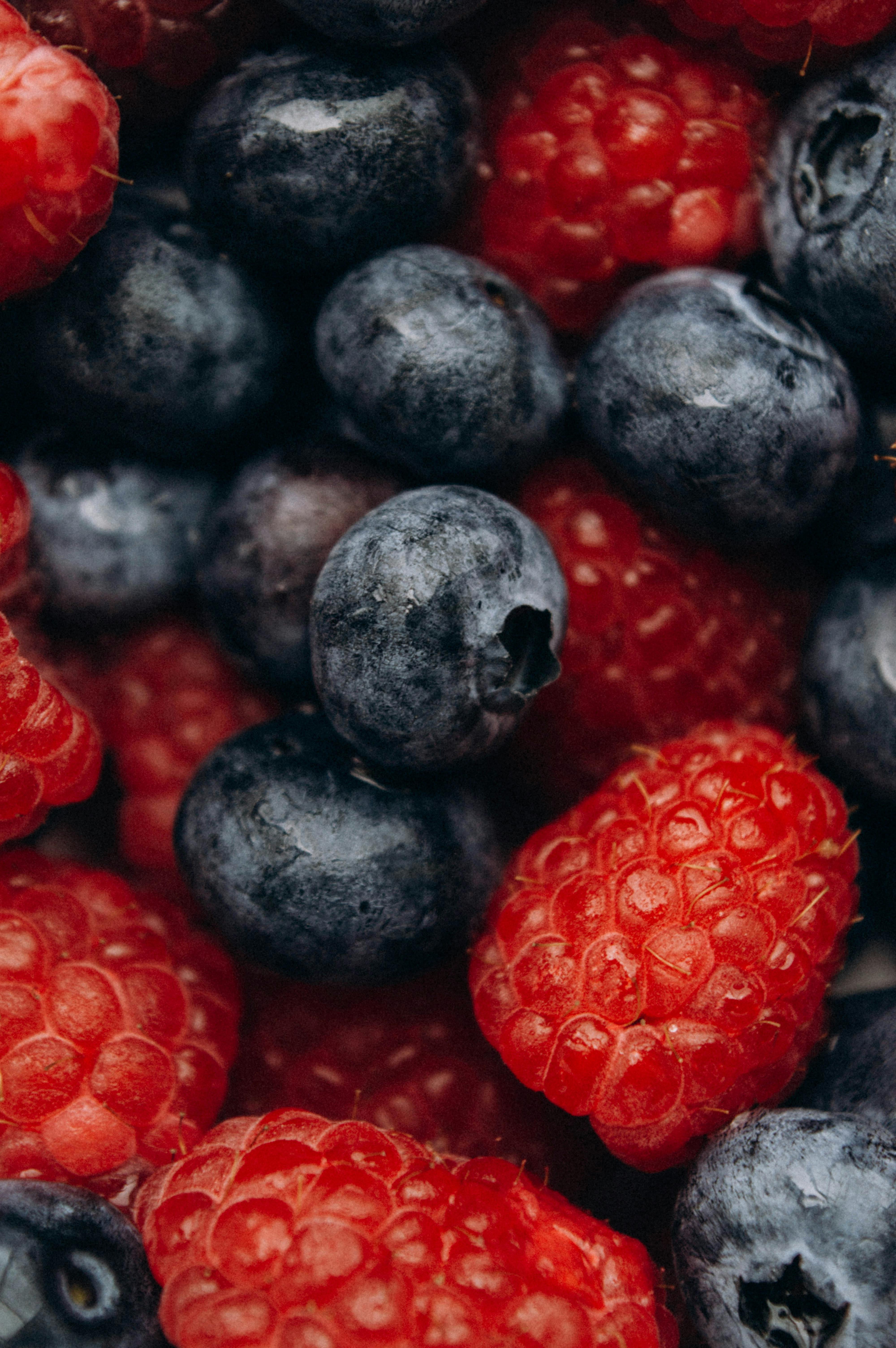 Practical Ways to Overcome Weight Loss Issues on Carnivore Diet