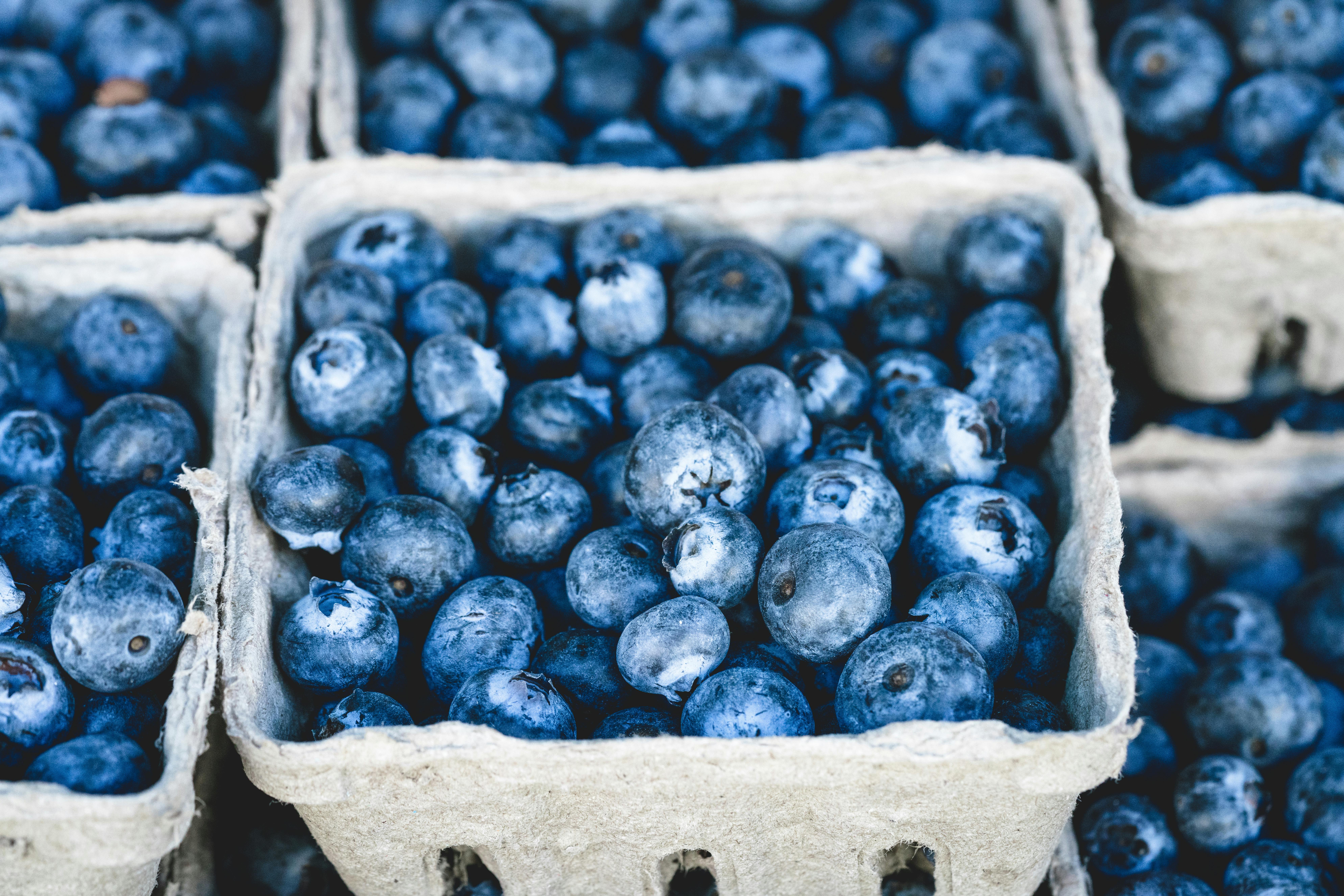 Best 5 Strategies to Enhance Your Nick Bosa Diet for Success in 2025