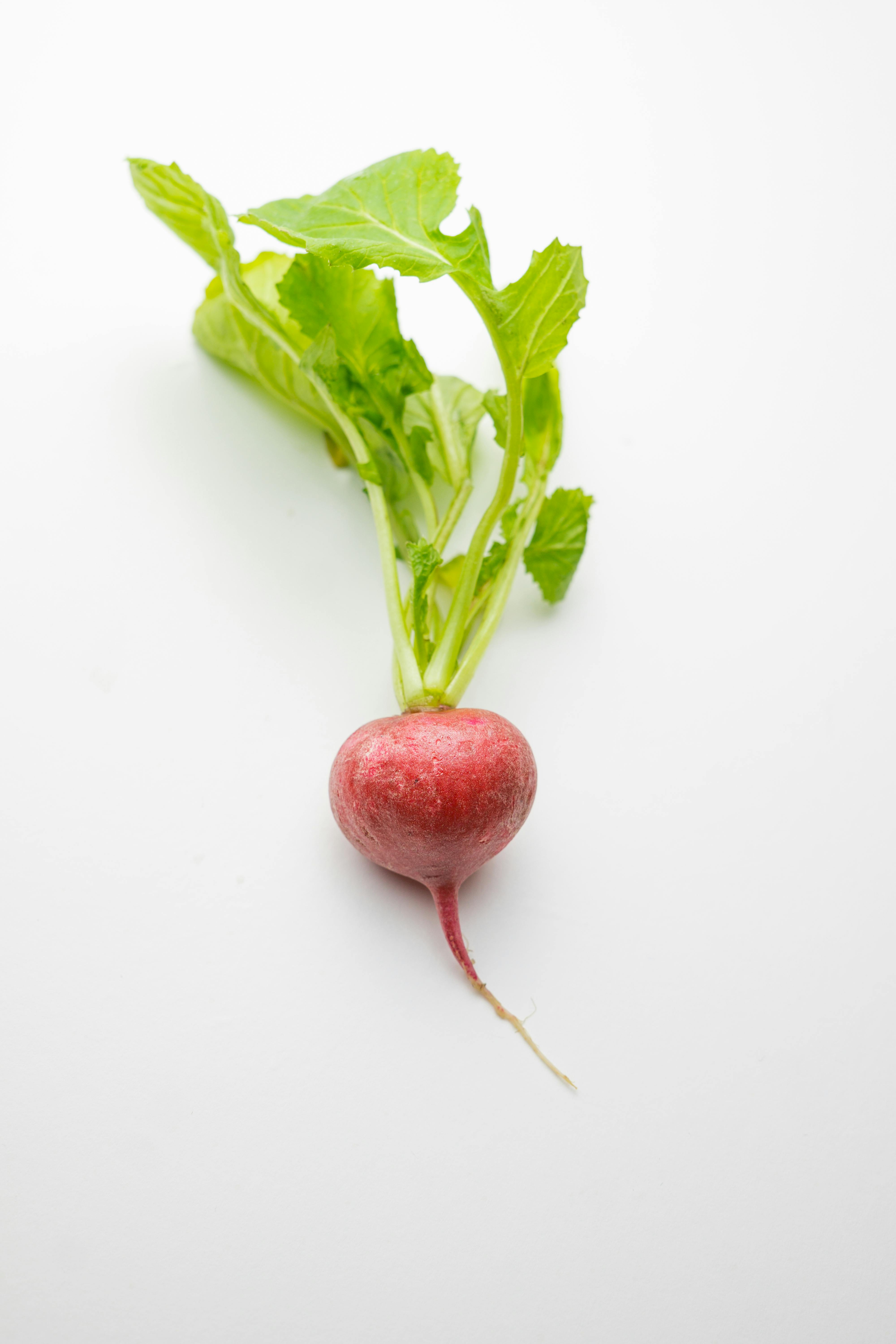Smart Ways to Use Dr. Now's Diet for Quick Weight Loss in 2025!