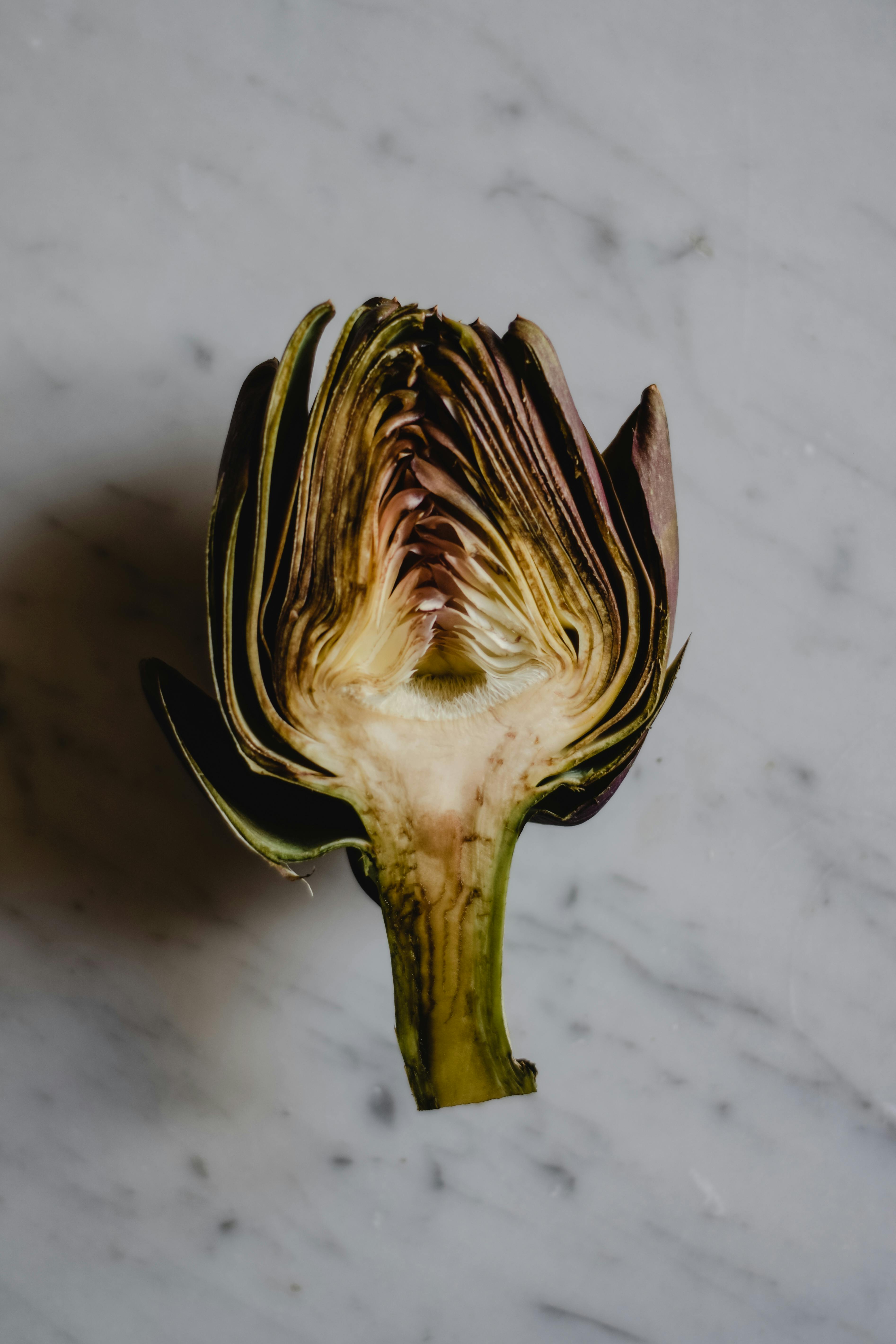PKU Recipes