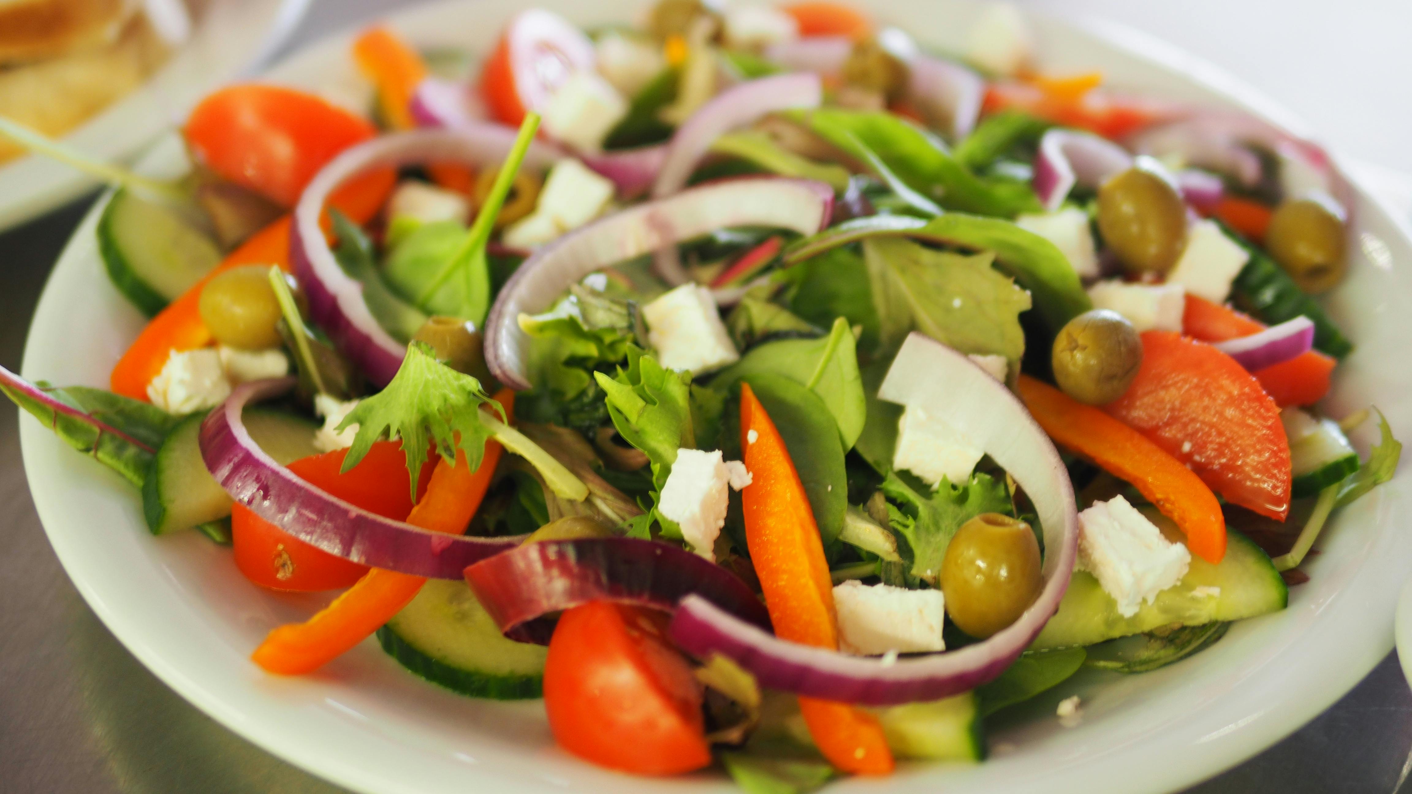 Healthy Russian Tortoise Diet