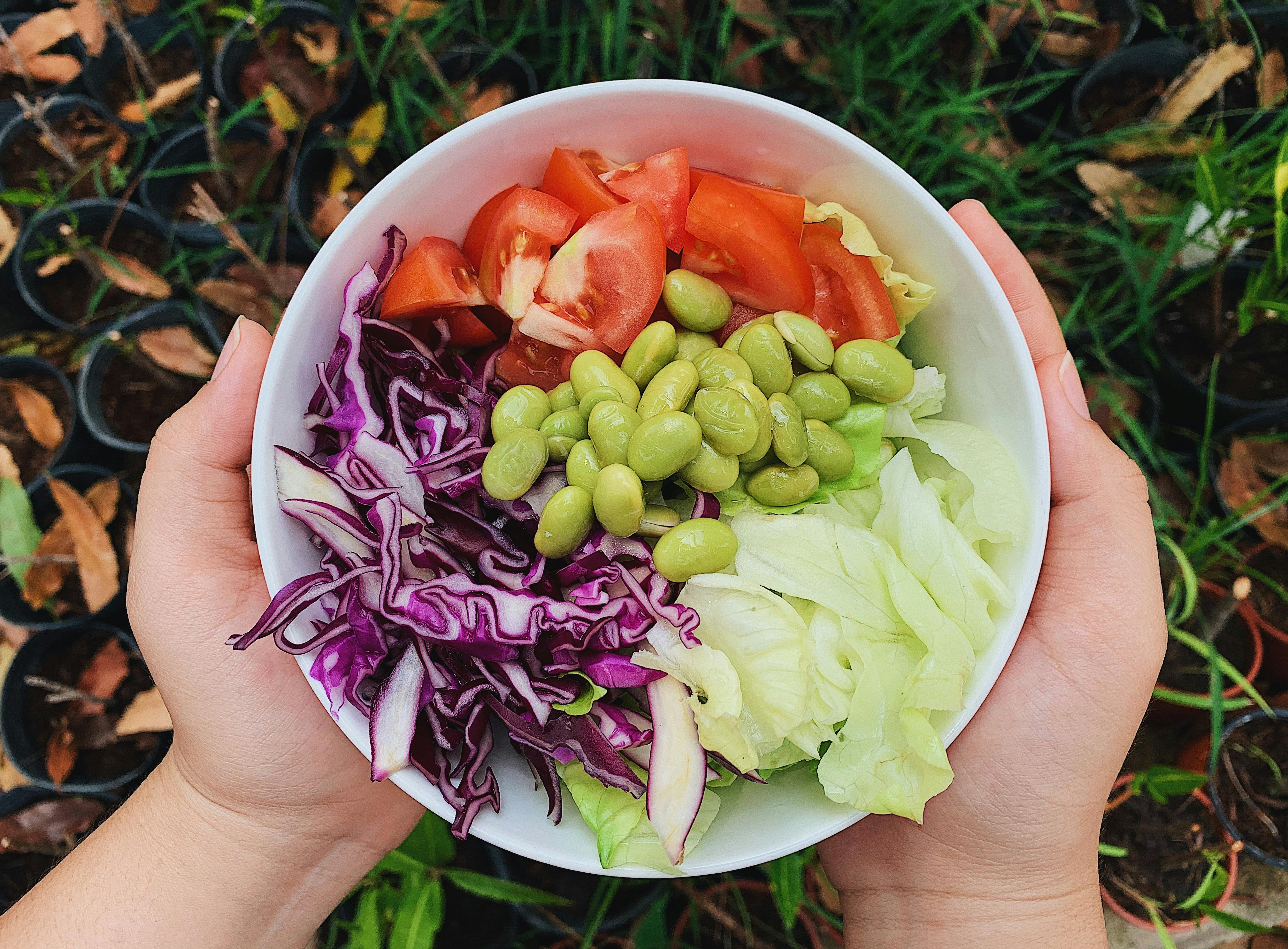 Top 5 Effective Diets for Metabolic Syndrome You Should Explore