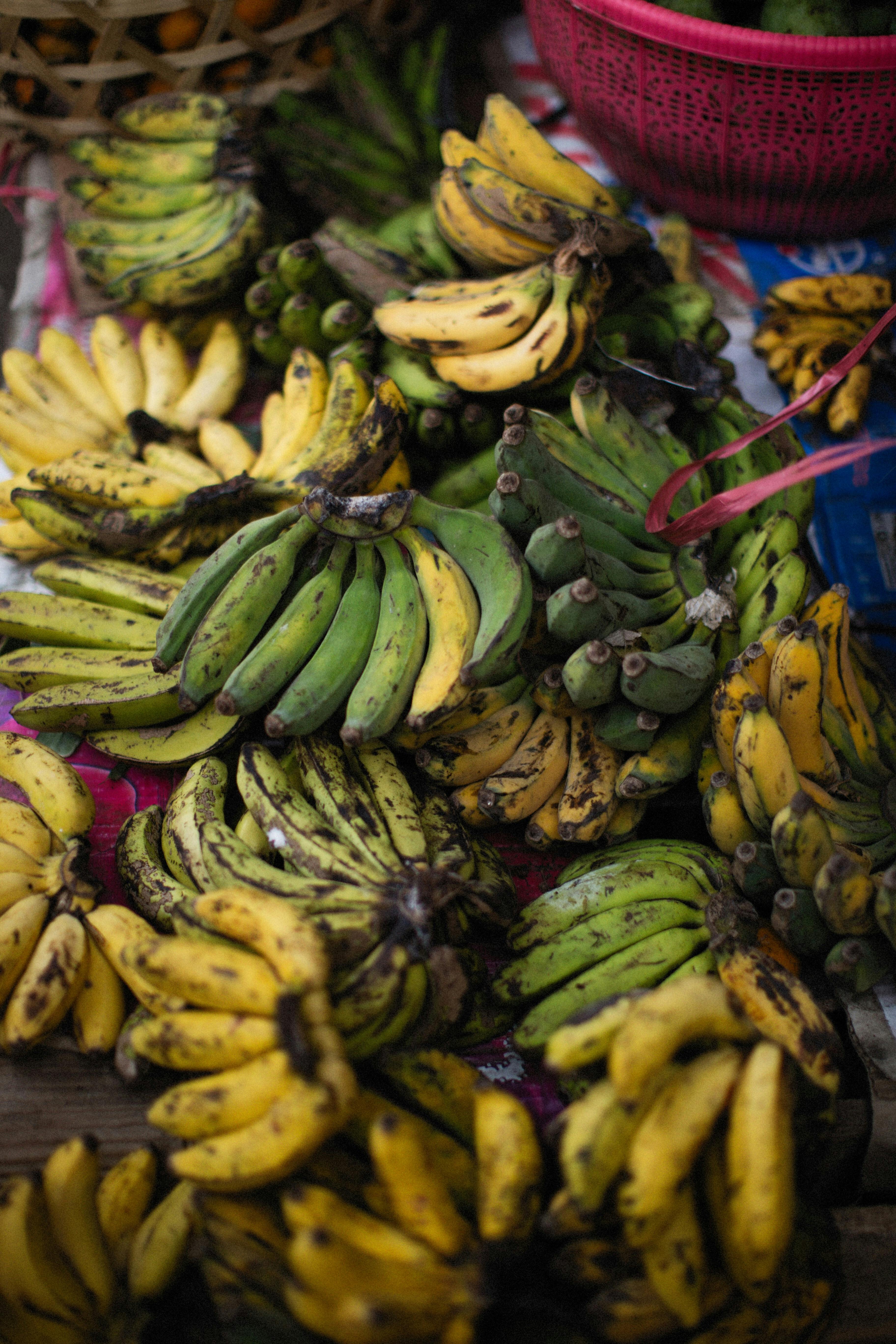 Practical Ways to Achieve an Acne-Free Diet in 2025