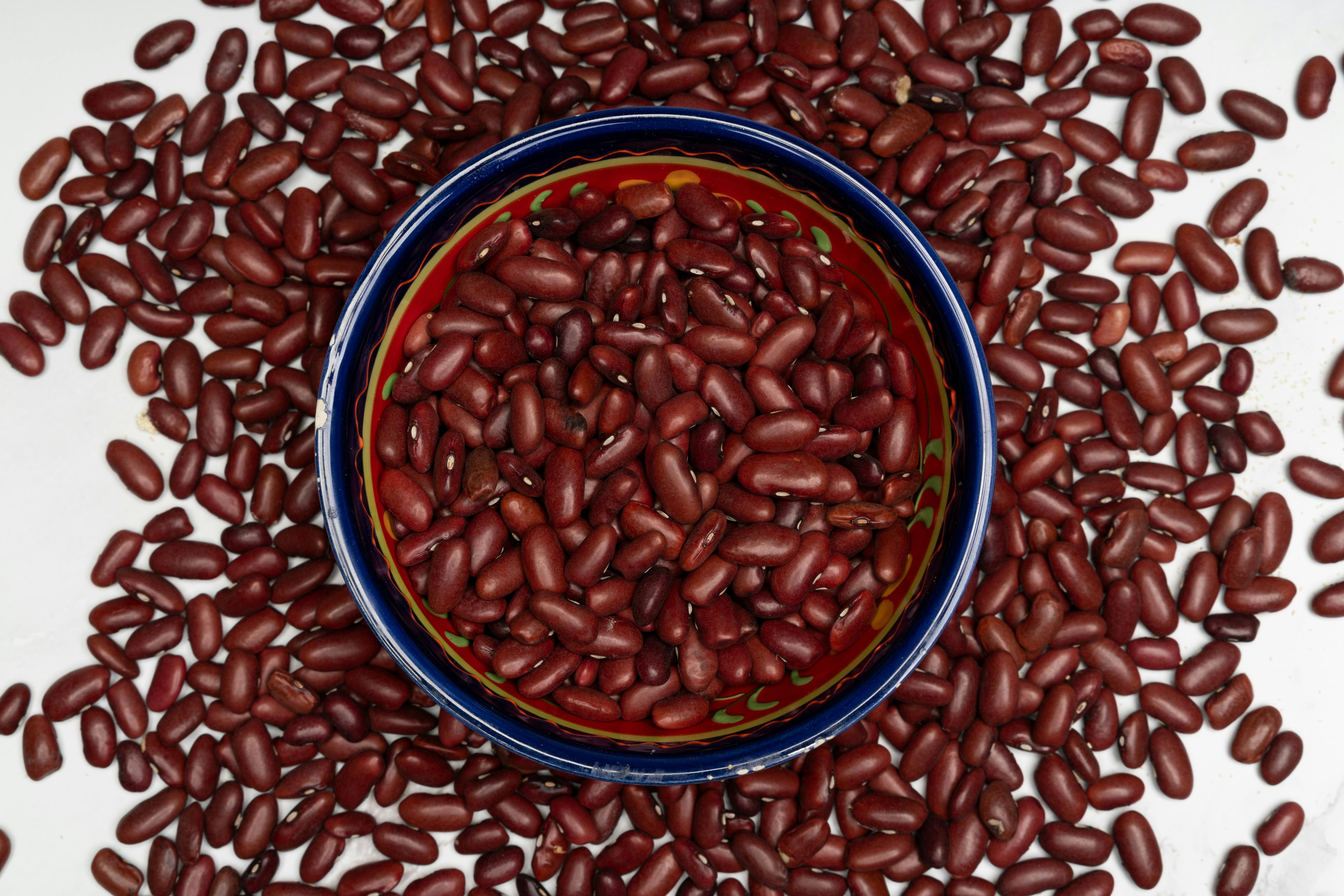 Herpes Diet Food List