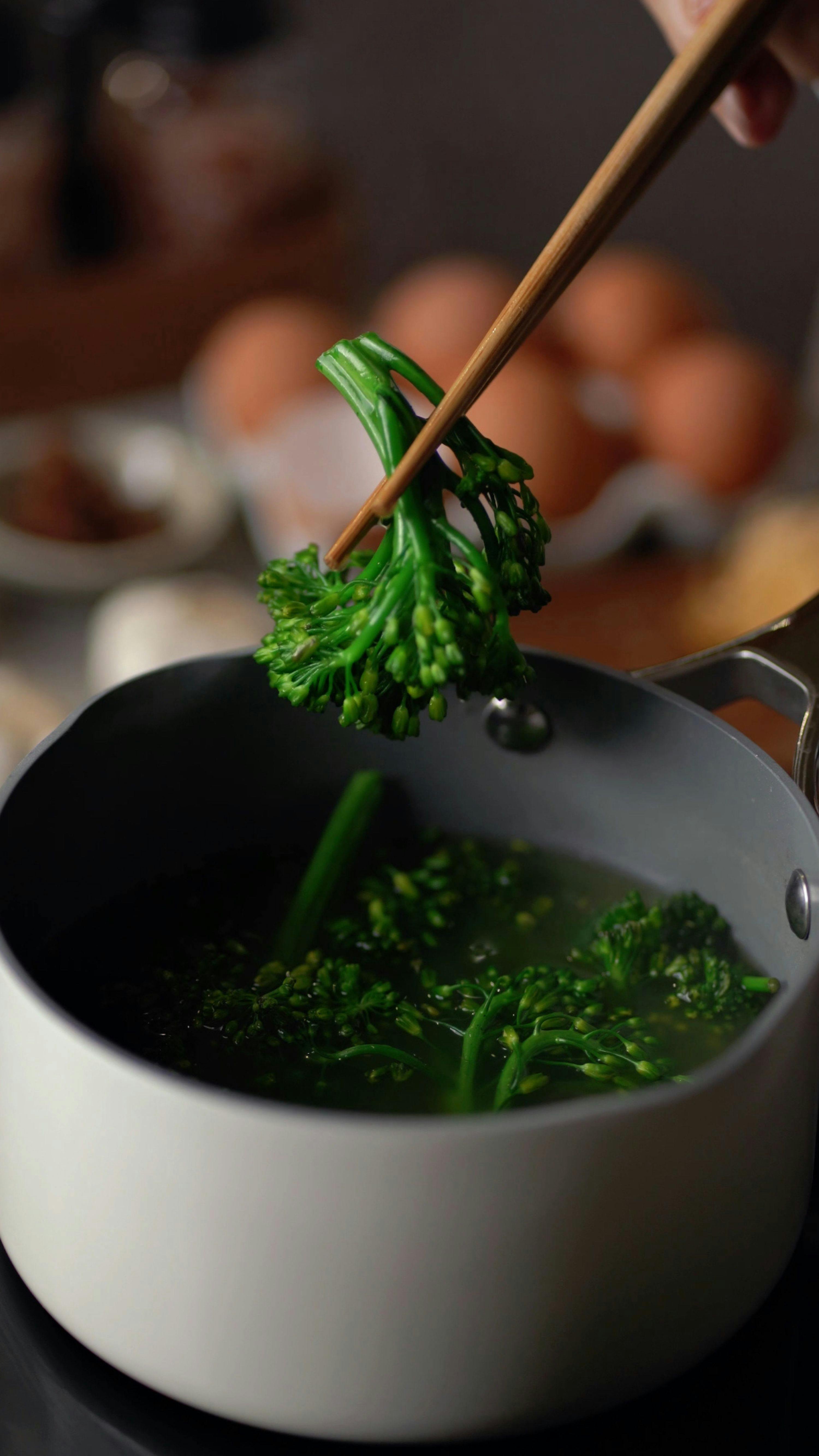 Galveston Diet Reviews