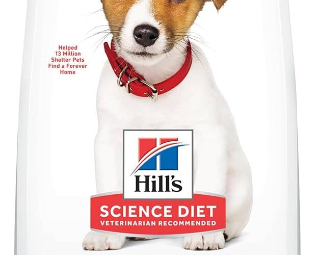 Smart Ways to Choose the Best Science Diet Dog Food for Optimal Health in 2025