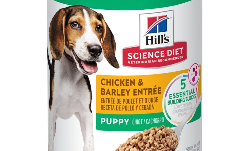 Best 7 Hill’s Science Diet Dog Food Choices for Healthy Pets in 2025