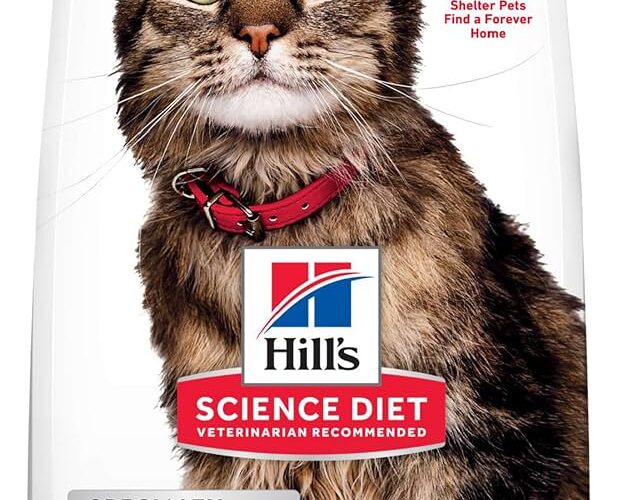 Effective Ways to Choose the Best Hill’s Science Diet Cat Food for Your Pet in 2025