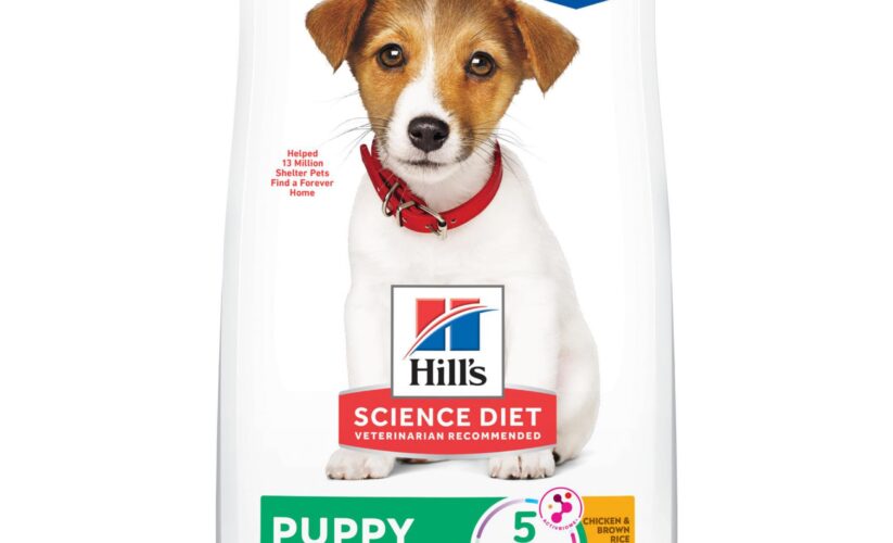 Effective Ways to Choose Hill’s Science Diet Puppy for Healthy Growth in 2025