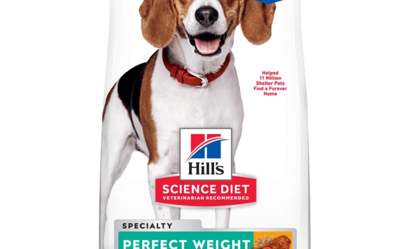 Essential Guide to Hill’s Science Diet Perfect Weight for Healthy Pets in 2025