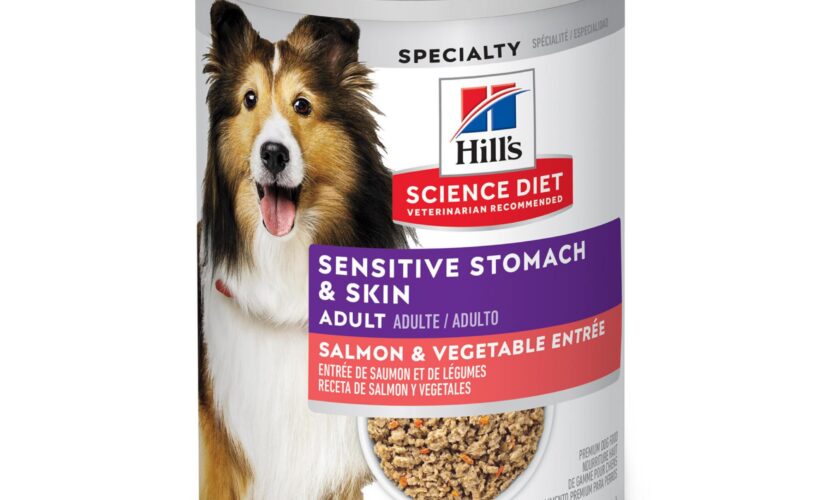 Effective Ways to Use Hill’s Science Diet Sensitive Stomach for Better Pet Health in 2025