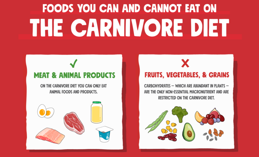 Top 5 Options for Cheese on a Carnivore Diet: Discover Delicious Choices!