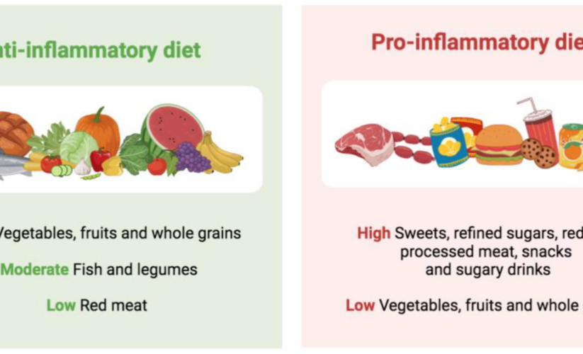 How to Choose Between Diet and Zero Sugar Drinks for a Healthier 2025