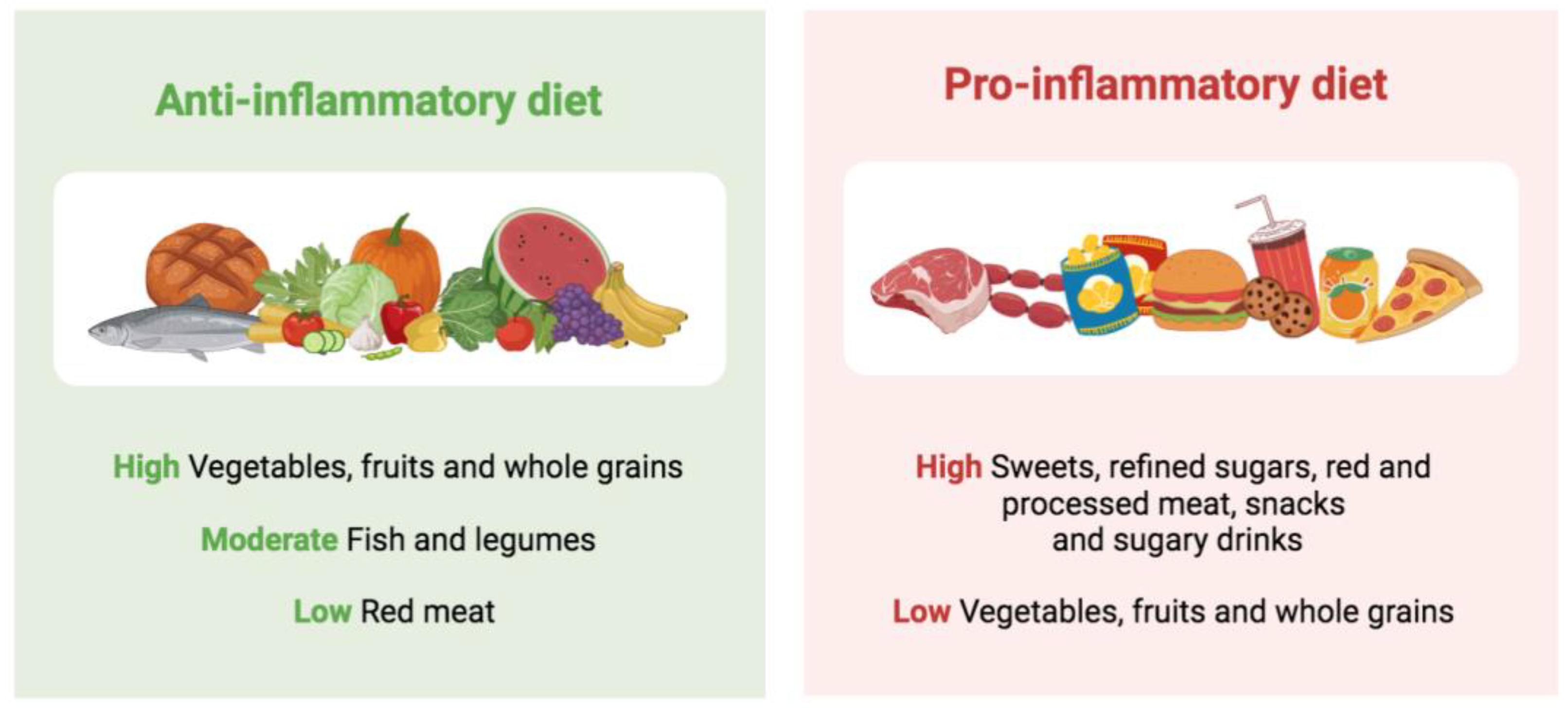 How to Choose Between Diet and Zero Sugar Drinks for a Healthier 2025