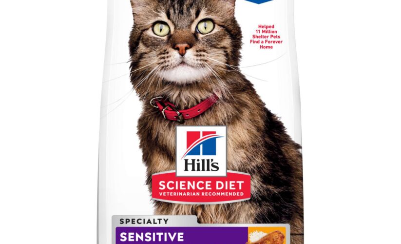 Best 5 Hill Science Diet Cat Food Choices for Happy, Healthy Felines in 2025