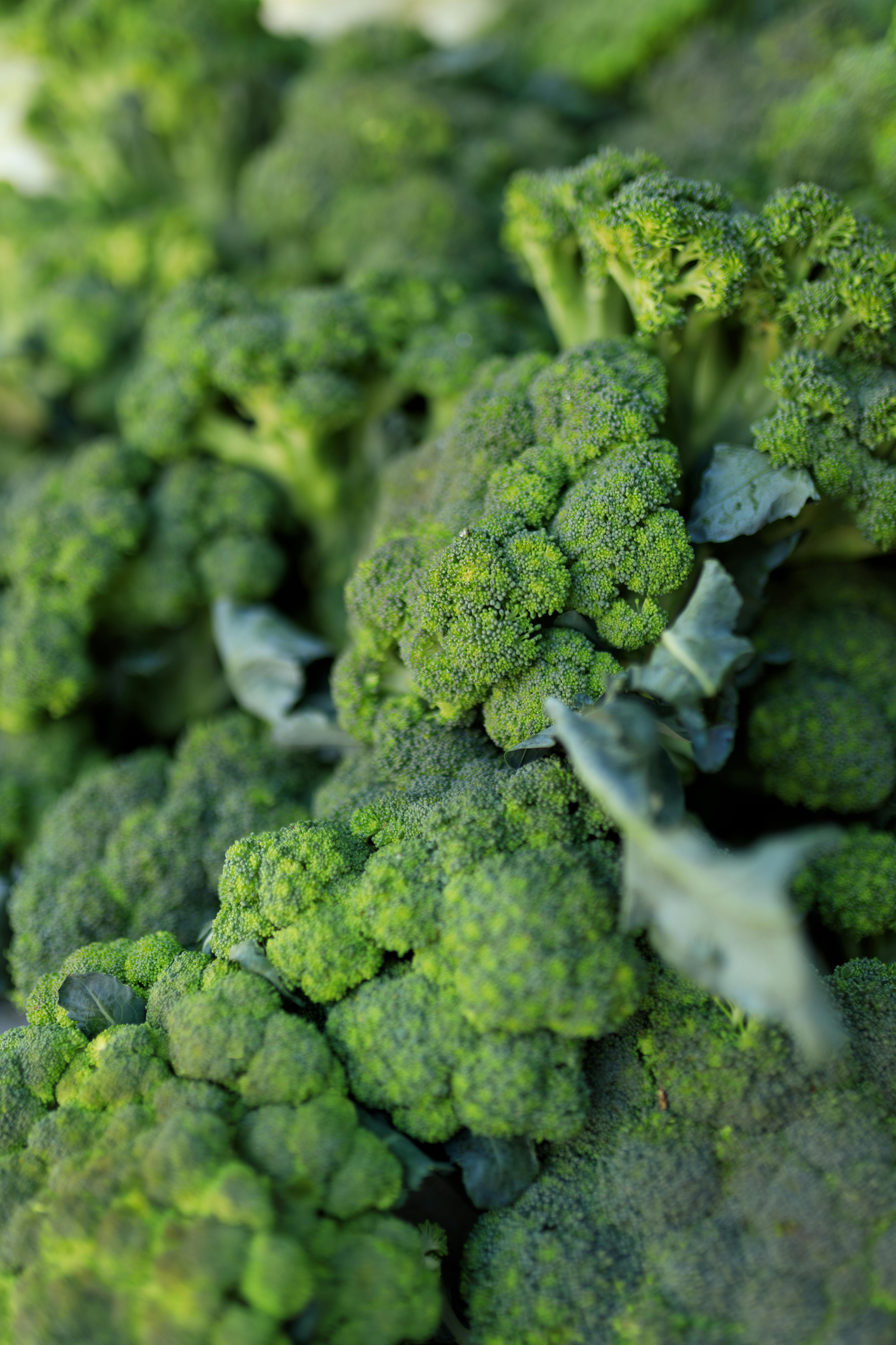 Healthy Chicken and Broccoli Dish